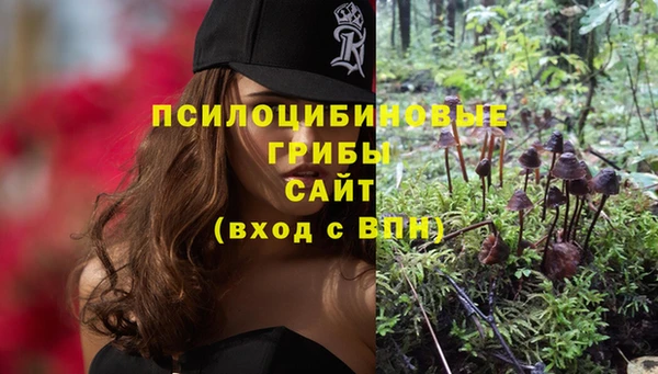 ешки Алзамай