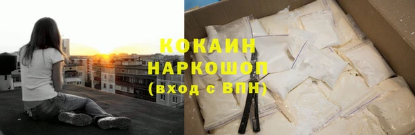 apvp Алексин