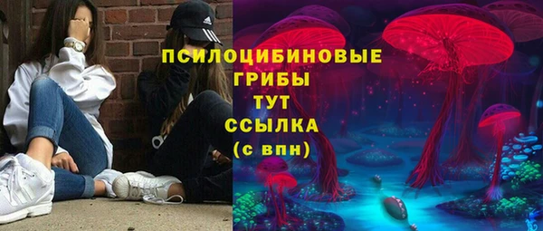 ешки Алзамай