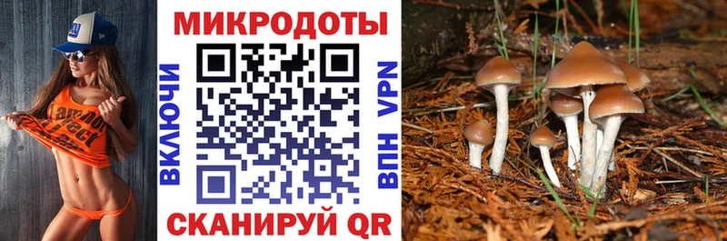 Псилоцибиновые грибы прущие грибы  OMG как войти  Серов 